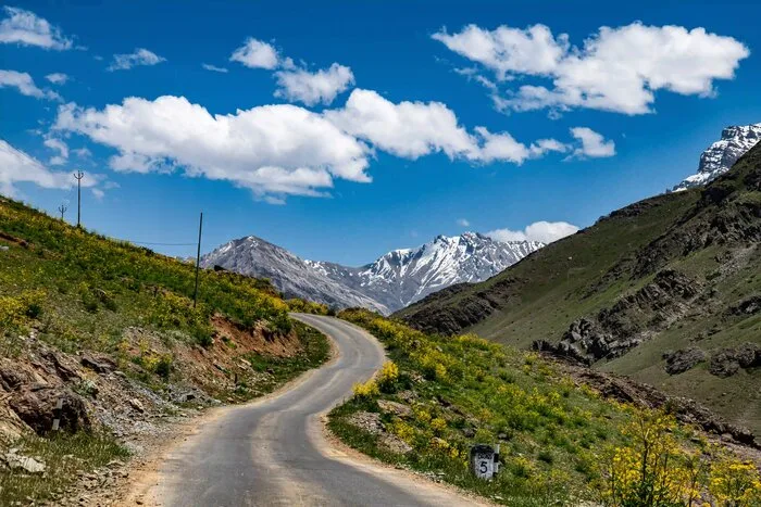 Diverse Landscape