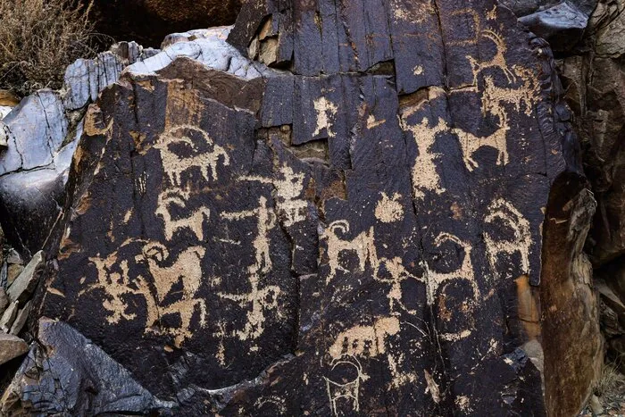 Petroglyphs & Rockarts