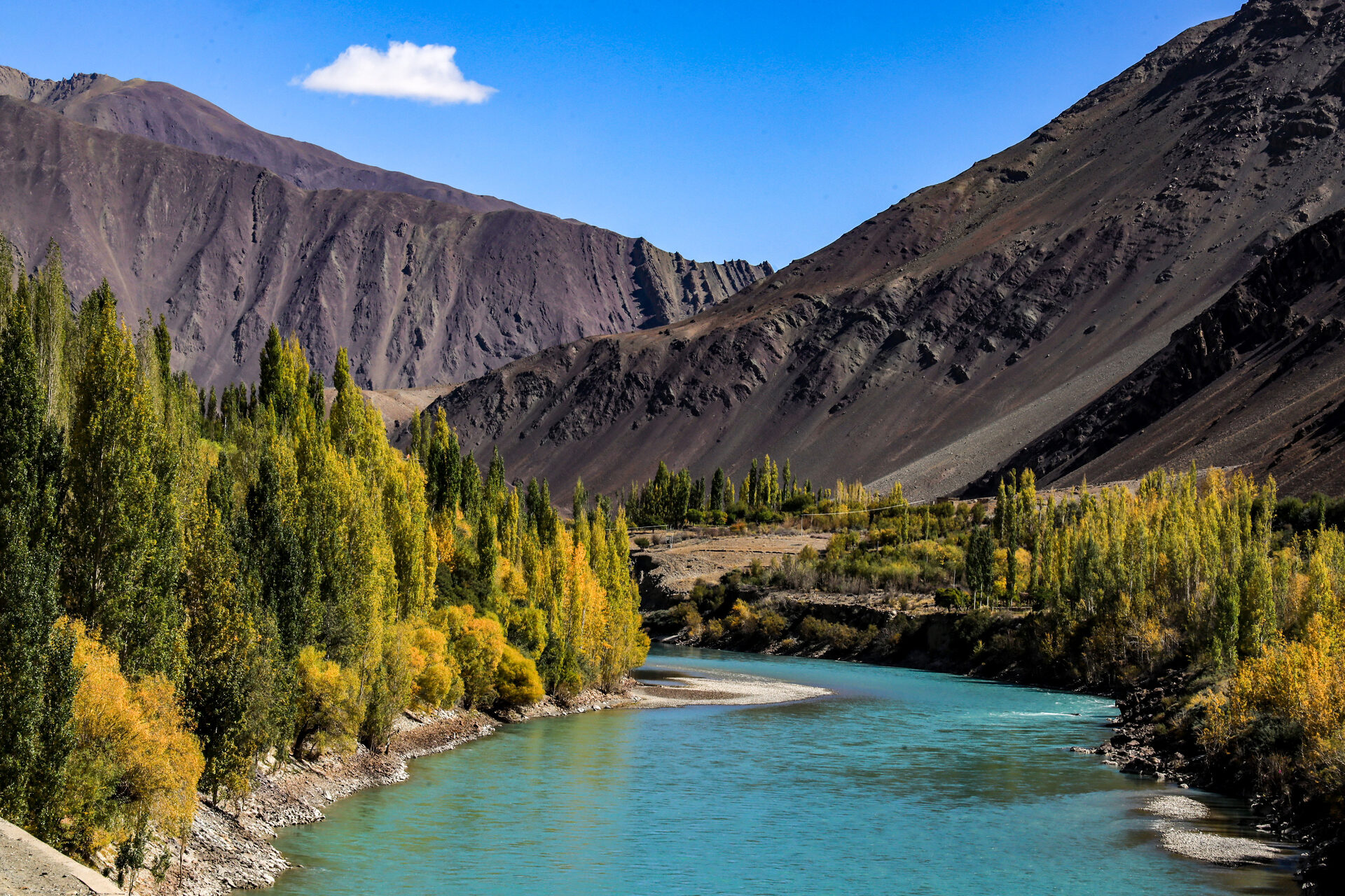 Pangong Lake View
