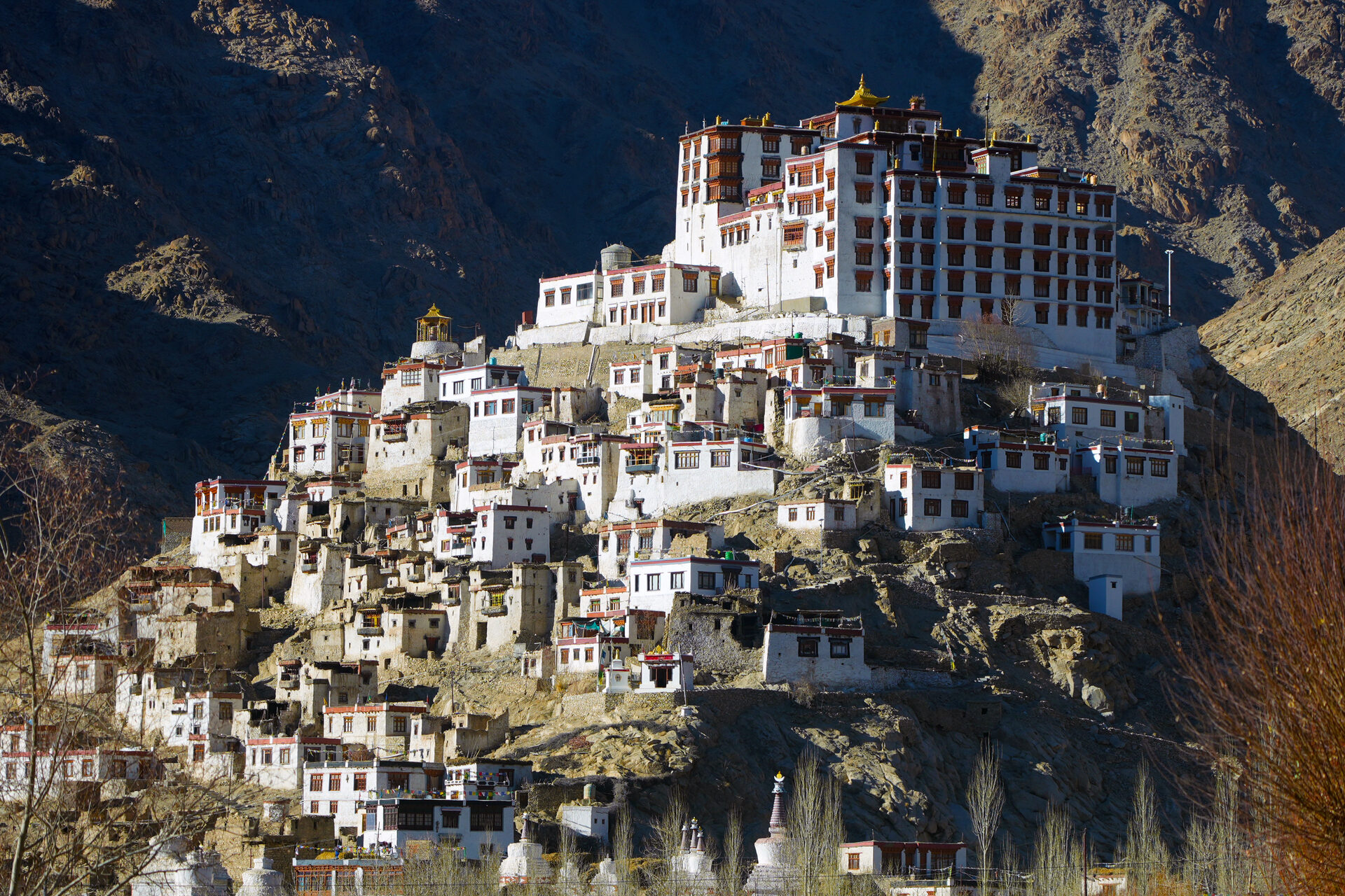 Hemis Monastery